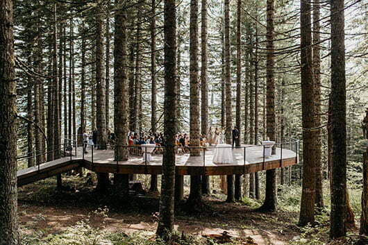 Options 2 Noble Ridge Tree Deck